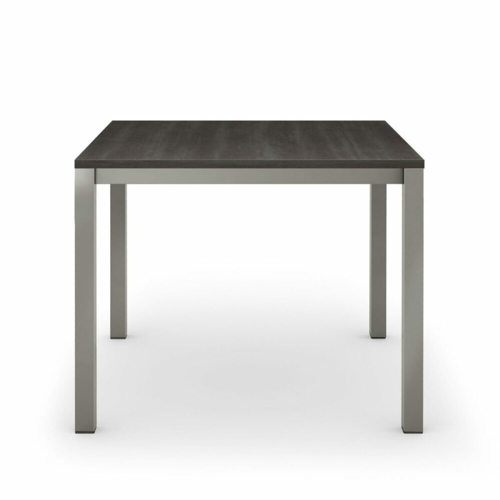 Carbon 90827 - Wood veneer tabletop (birch)