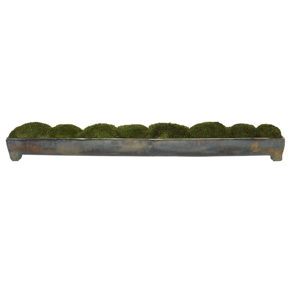 Large Canal Moss Centerpiece