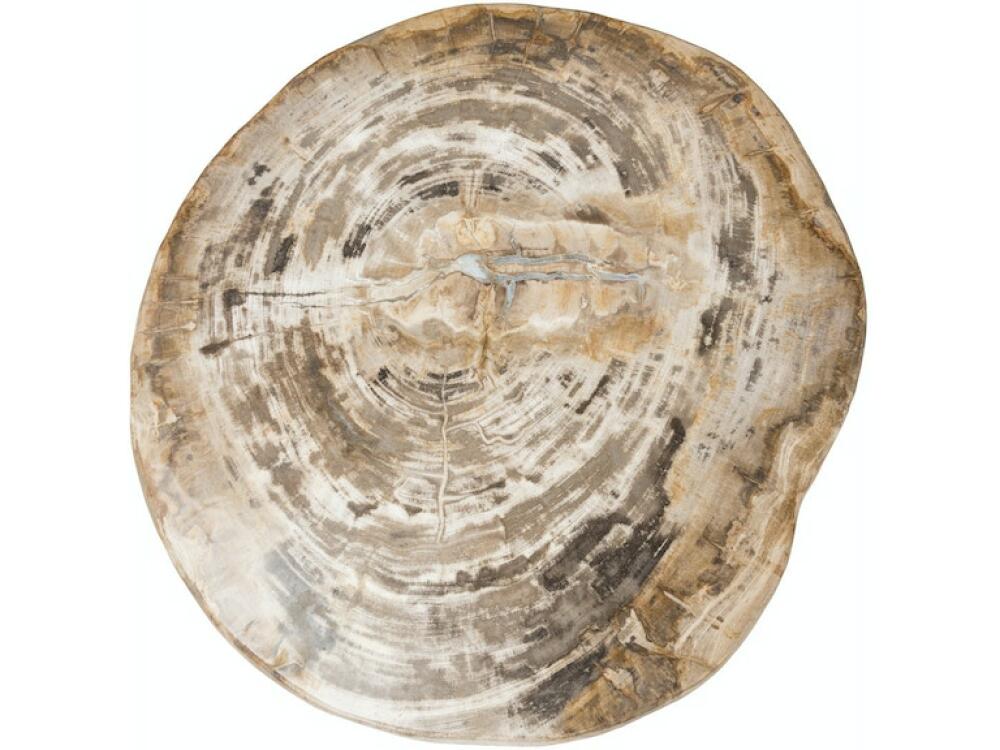 Riley Petrified Wood Accent Table - Image 4