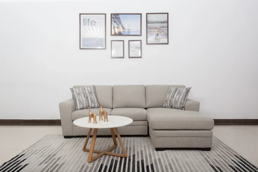 Dove 2 PC Sleeper Sectional Sofa - Image 2