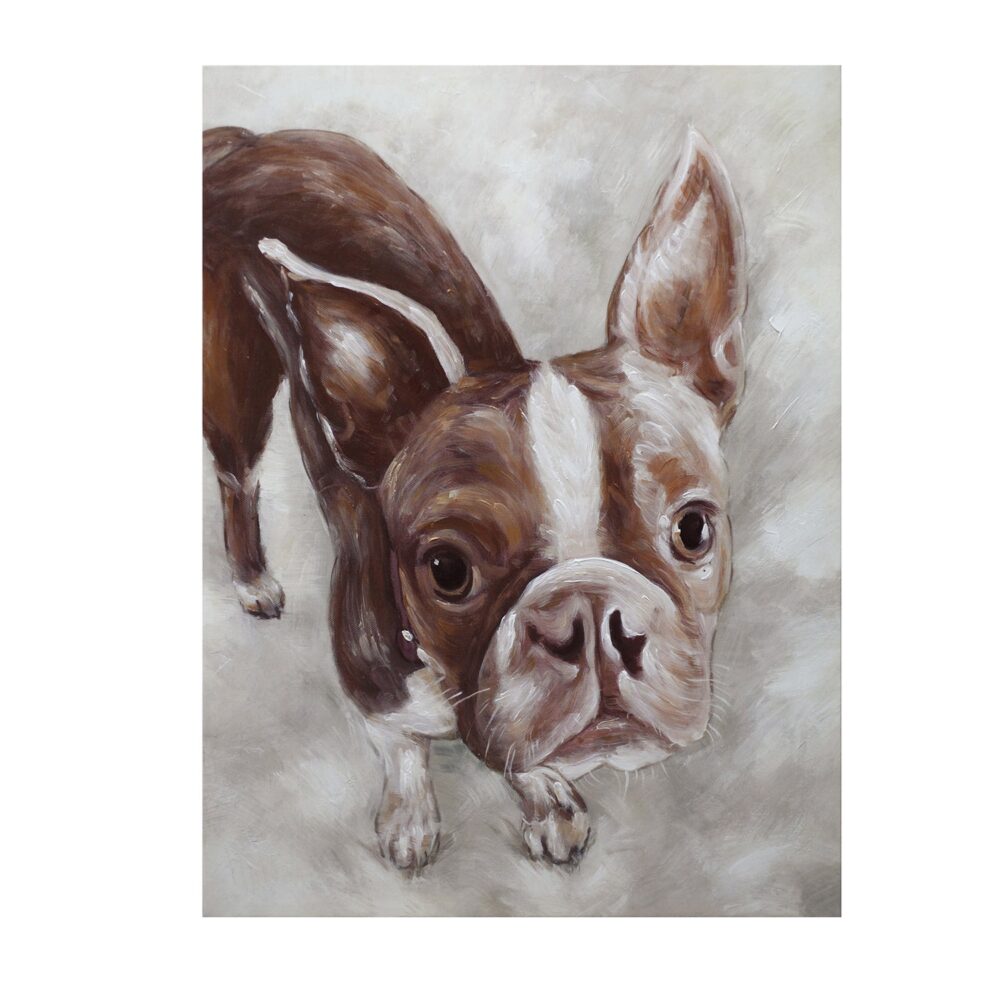 Lucy Canvas