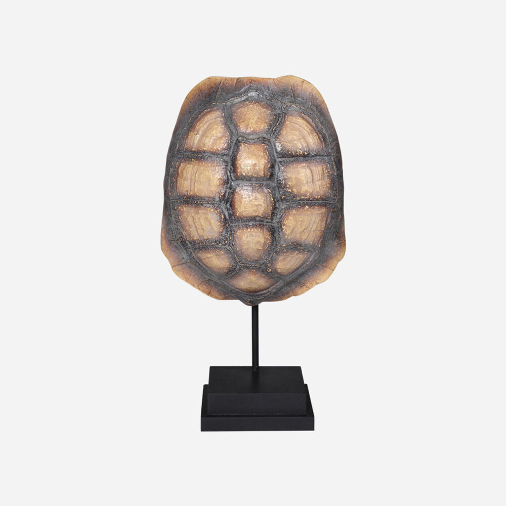 Faux Yellow-footed Tortoise Shell on Stand